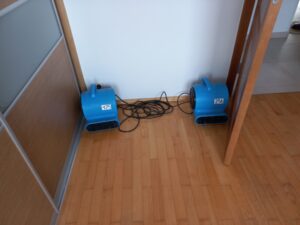 usuwanie technologicznej wilgoci